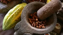 Chocolate: La historia agridulce de este antiguo manjar, tiene sus pistas en Honduras